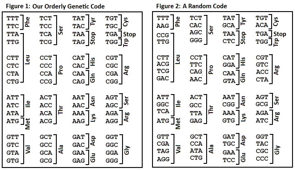genetic code: random or intentional?